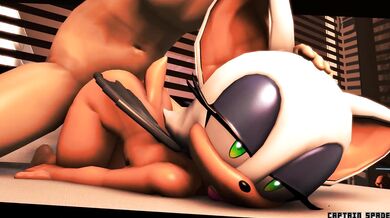 Anal Training with Rouge the Naughty Ninja