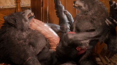 Father and Son Werewolves - A Tale of Two Shifters