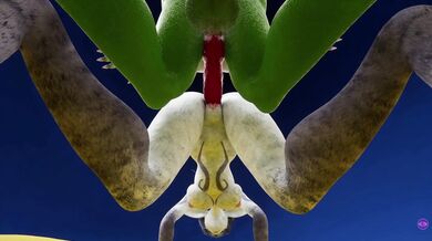 Horny Kairi Fucking Her Way through VanimateApp!