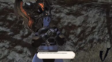 Amalj'aa Alliance: A Lustful Collaboration