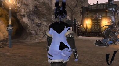 Amalj'aa Alliance: A Lustful Collaboration