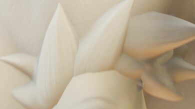 Gardevoir's Deep Throat POV Blowjob