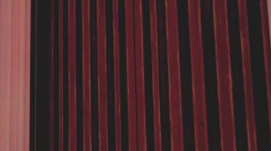 Taking Over Her Orgasm with the Lust Control App