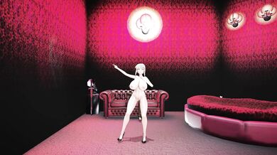 The Hunt for the Sexy Swordswoman: A Night of Lust, Love and Leather!