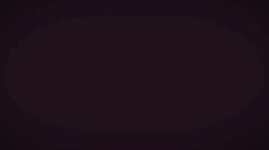 Pandaren Anal Vortex: The Vulpine Sensation