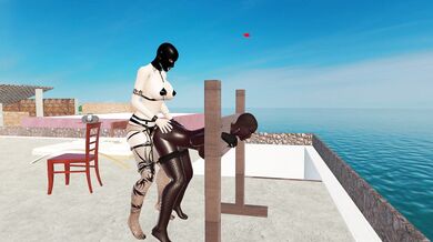 Bound and Gagged, Black Futanari Gets Banged by Masked Dominatrix in a Pillory