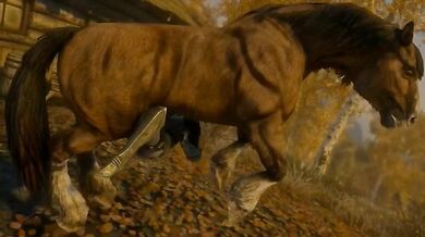 Unbridled Passion: Skyrim Horses Get It On with Lusty Luna