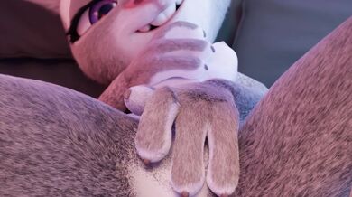 Judy Hopps Gets Hers - A Brand New Bitch PMV