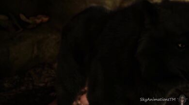 Canine Cock-up Chronicles II