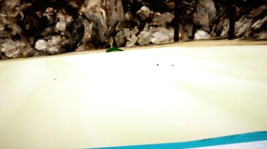 Cheating Wife Gets Fucked on the Beach