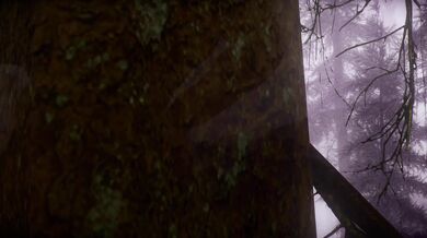 [YoRHa] The Misty Edge