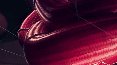 Rachnera Returns with Her Voracious Venomous Viper Erection [Elaseed]