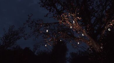 Ninja Love: Ryu and Momiji's Erotic Night Adventure