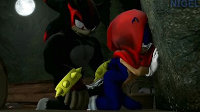 Sexual Adventures of Sonic and Shadow: A Rough and Steamy Collection for Mature Audiences