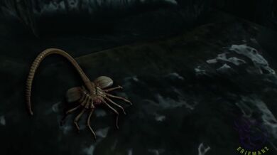 Yen's Alien Fuckfest