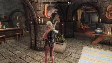 Nudist Robber Punished by Vigilant Canine