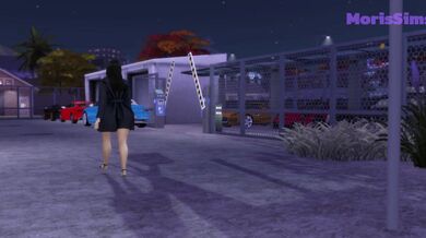 Suburban Mom Goes Public - Part 1