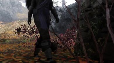The Fake Dunmer Guard