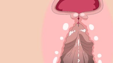 Dora the Explorer's Uncharted Territories of Pleasure