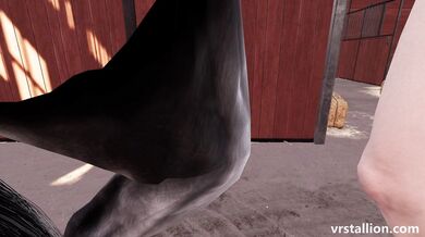 VR Stallion 1.5 | Virtual Reality Porn Gameplay