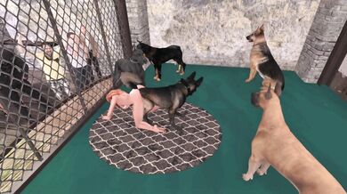 Sex Slaves: The Breeding Cage, Vol. 1