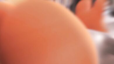 Furry Foursome - Bi-sexual Bonanza