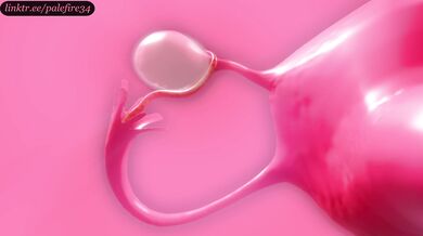 Aerith's For*ced Ovulation and Pregnancy Ordeal