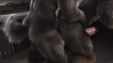 'Security officer gets fucked by Hans Richter in the office'