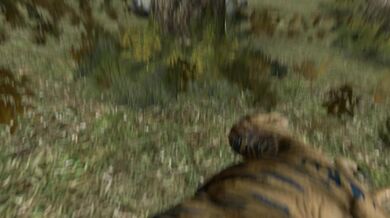 'Dreaming of a Tanky Raptor'