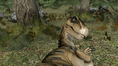 'Dreaming of a Tanky Raptor'