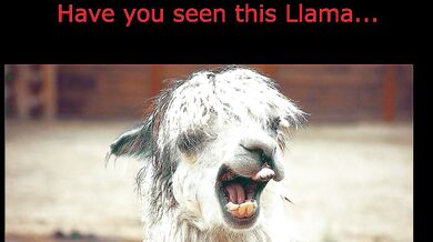 Anal vortex of ecstasy featuring Excella