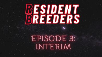 Bangin' and Bangin': The Interim of Fuckin'