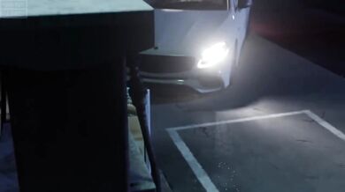 Bitches Can't Handle My Scorpio Sting: A HMV Exclusive