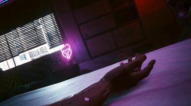 'Late Night Lust in the Motel with Blue Moon and Vincent'