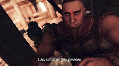 Wild Nights with Snikka: A Skyrim4Ever Preview