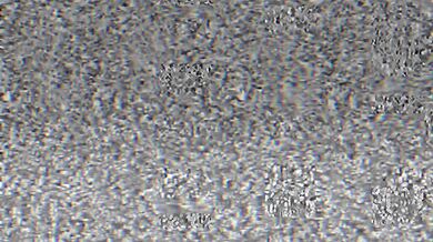 Journey to the Center of Maki's Ass