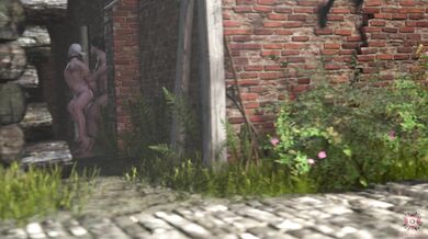 A Wet and Wild Night with the Witcher Whores of Alleyfuck