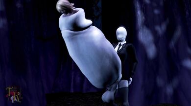 ToasterKing - Office Aid in the Jungle