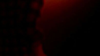 'The Innocent Maid's Wild Night in the Hotel'