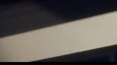 A day in the life of a dog