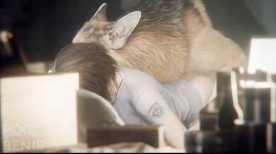 A day in the life of a dog