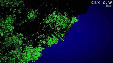 Abracadabra All Night: The Magical Escapades of Roxy and Her Sex Toy