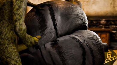 The Lizard Queen and her Kitty Companion: A Tale of Reptilian Love