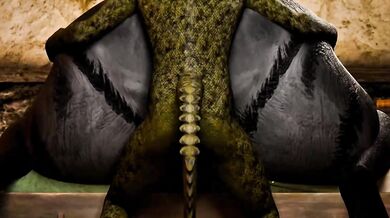 The Lizard Queen and her Kitty Companion: A Tale of Reptilian Love