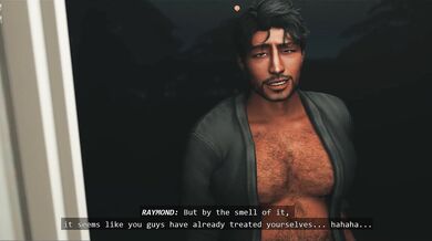 Write a paragraph describing the plot of the porn video, including what happens to the "favorite boy".