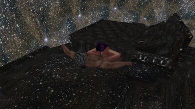 Space Evolution: Quantum Lust Chapter V