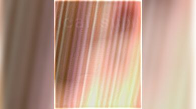 (Transsexual) Sindel vs Ada Wong and Wonder Women vs Cat Women (Erotic Fantasy)