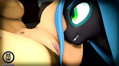 Trailer Sound Project COM