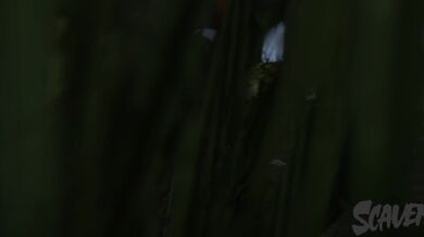 Big Freak's Scavenger Hunt with Kasumi Gone Wrong