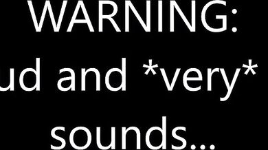 Big Bug Boned and Banged Hard